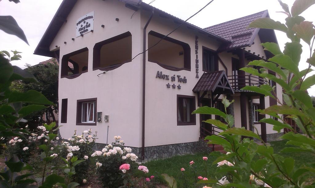 Pensiunea Alex si Tedi Horezu Ruang foto