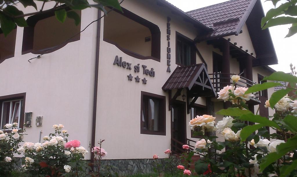 Pensiunea Alex si Tedi Horezu Bagian luar foto