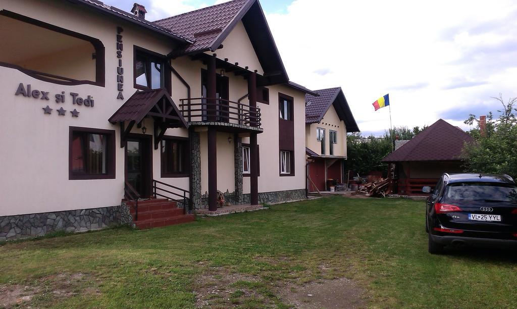 Pensiunea Alex si Tedi Horezu Bagian luar foto